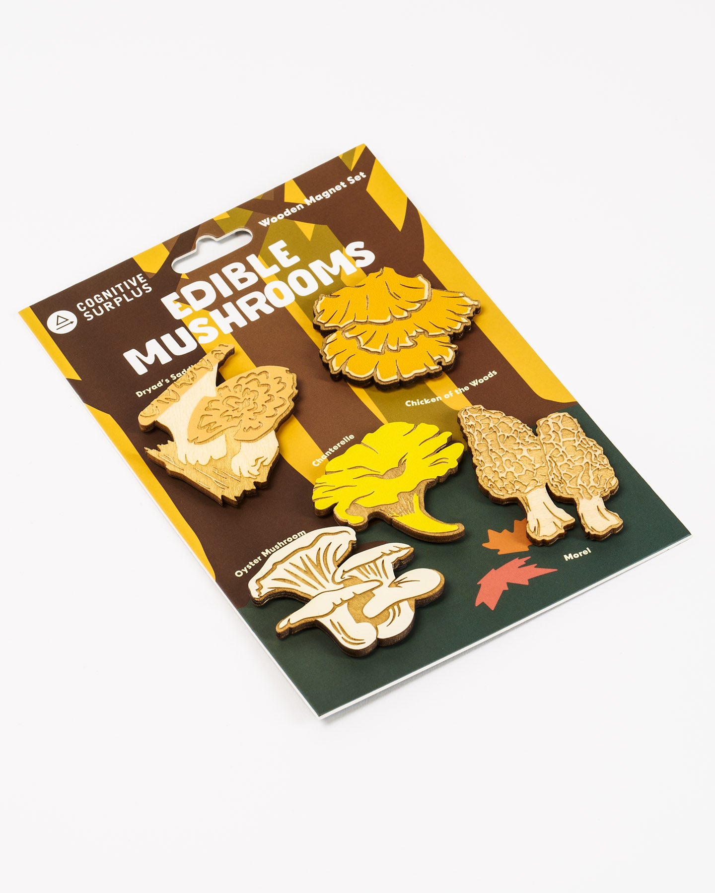WmEdiFungi_3-Edit.jpg