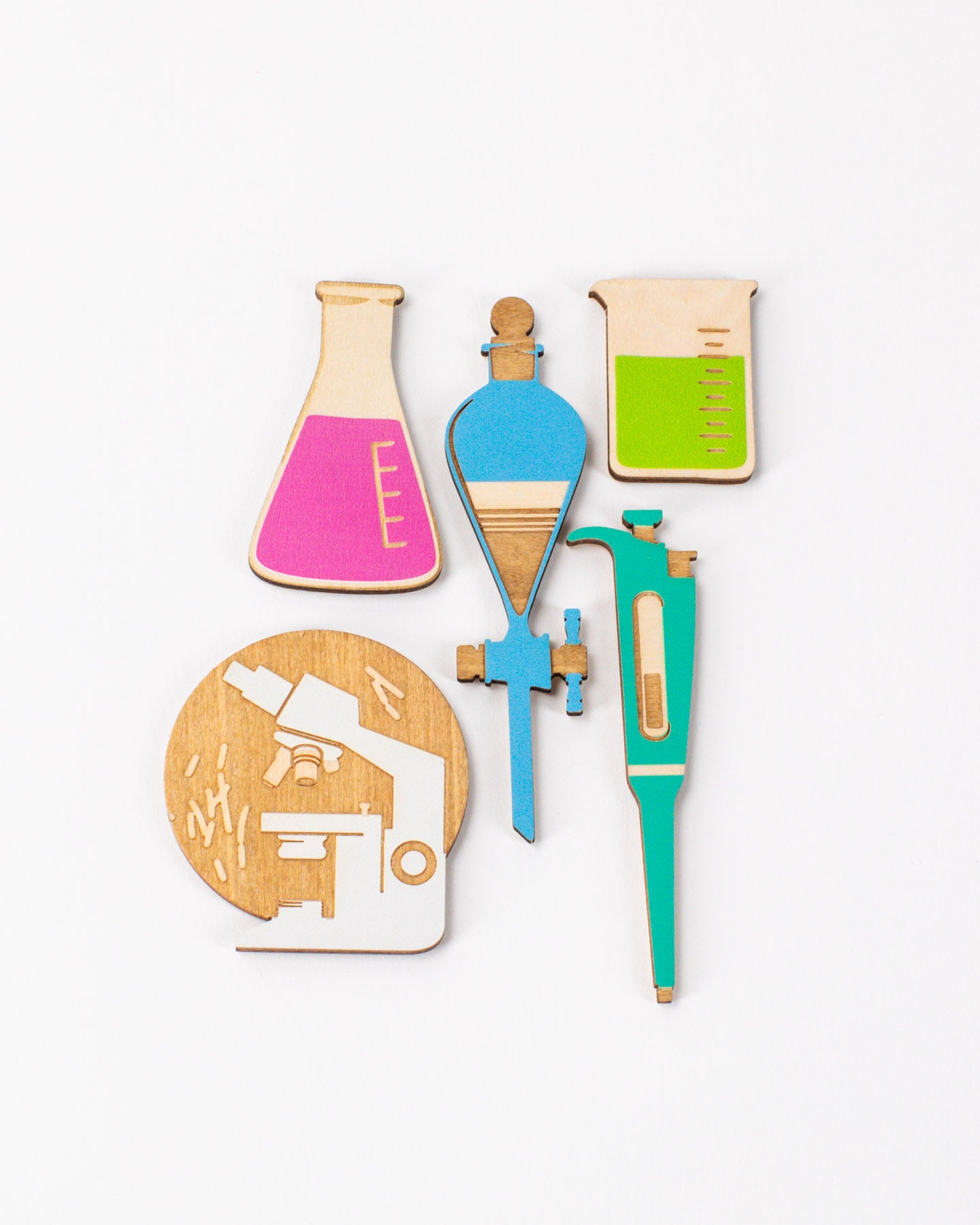 Lab Science Wooden Magnet Set