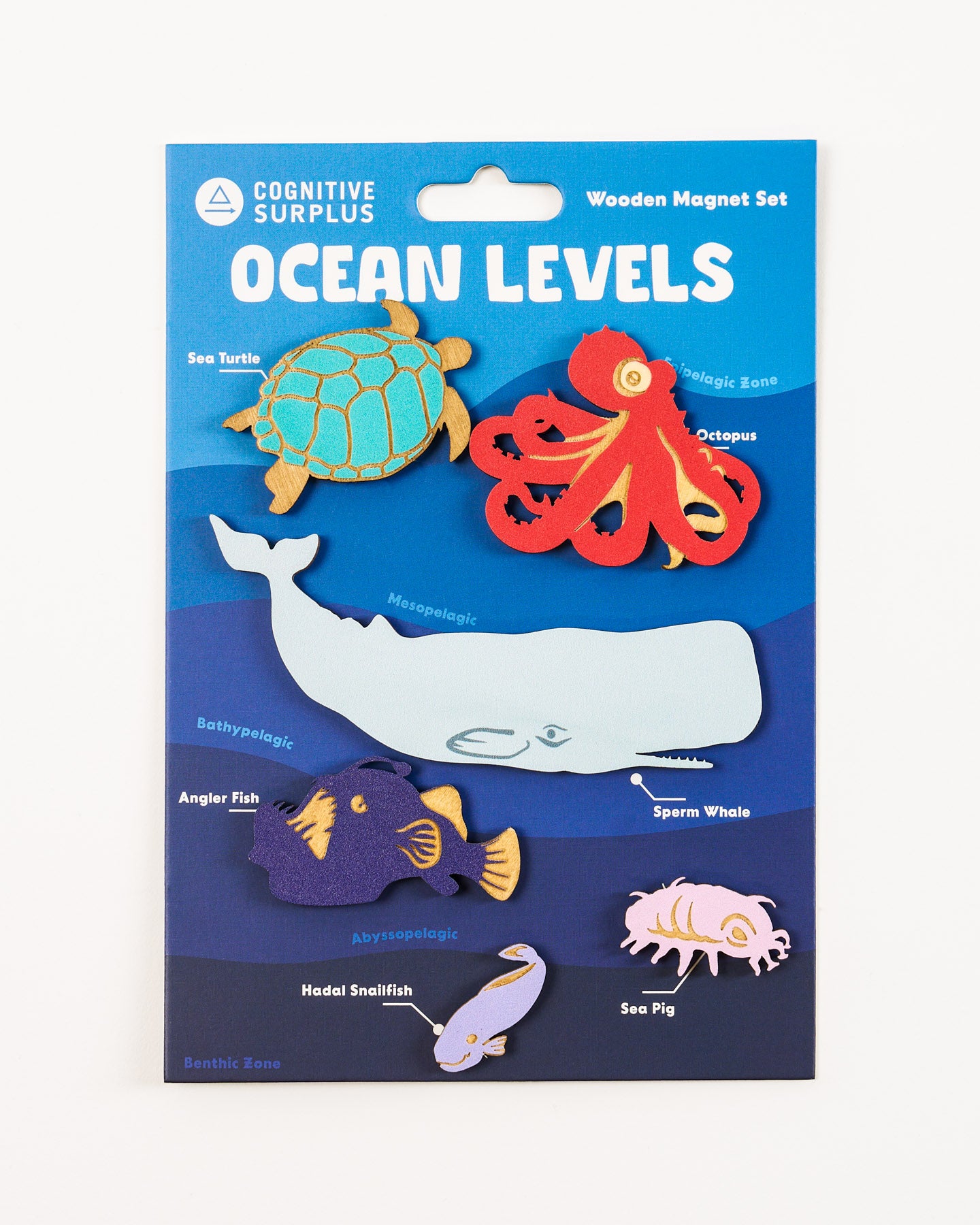 WmOceanLev_2.jpg