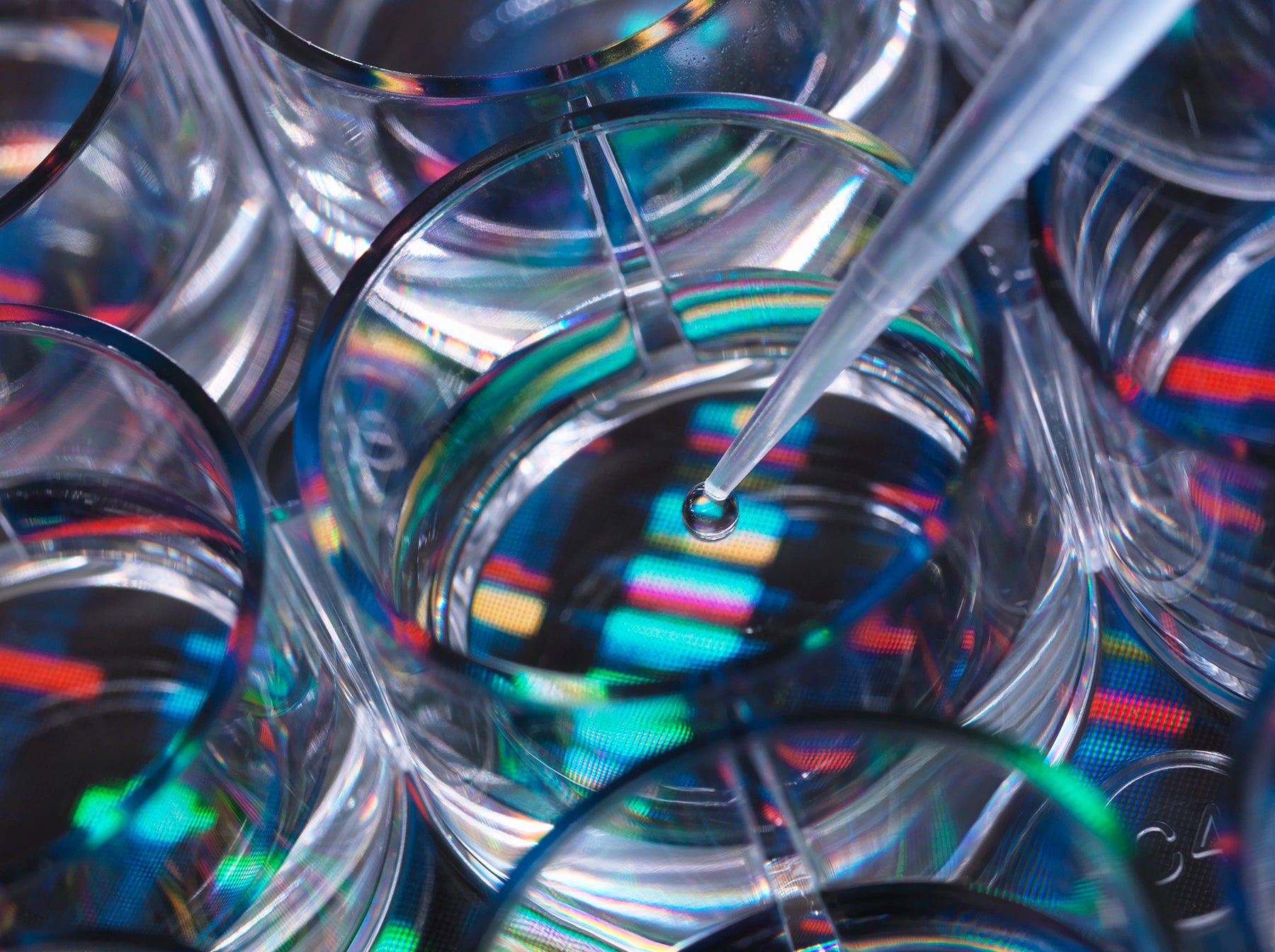 genetic-research-a-human-sample-being-pipetted-in-2022-03-04-01-50-47-utc.jpg