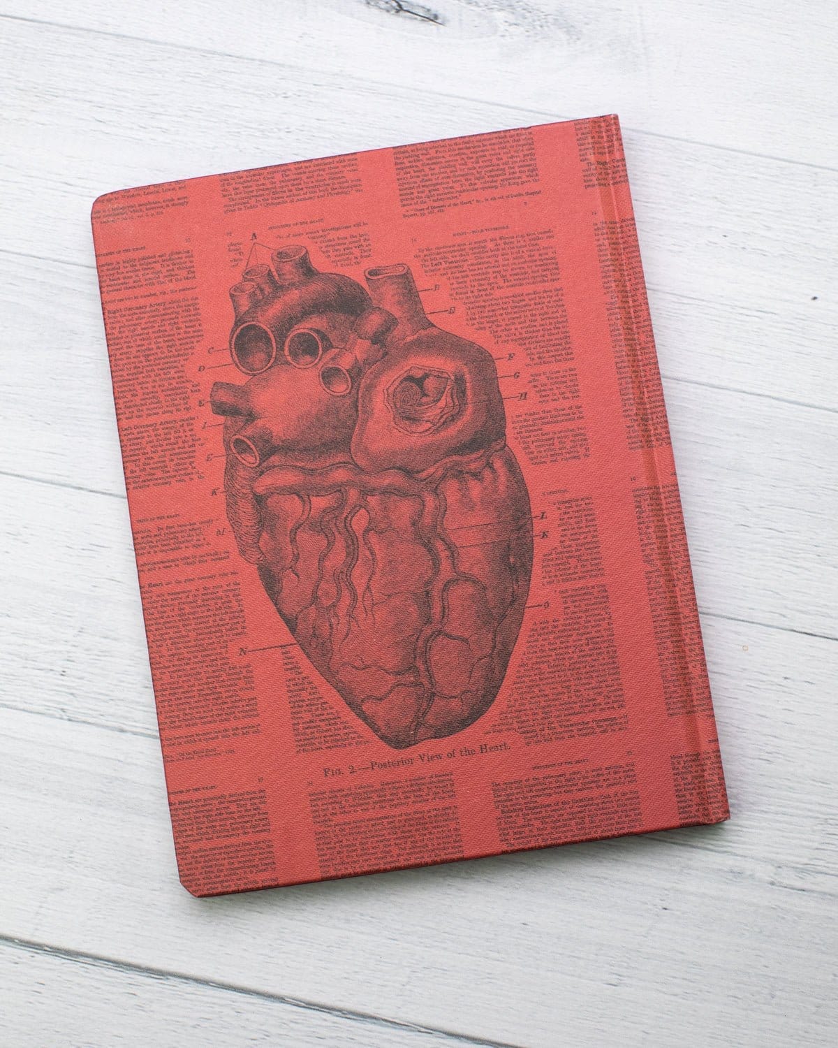 Anatomical Heart Hardcover - Dot Grid Cognitive Surplus
