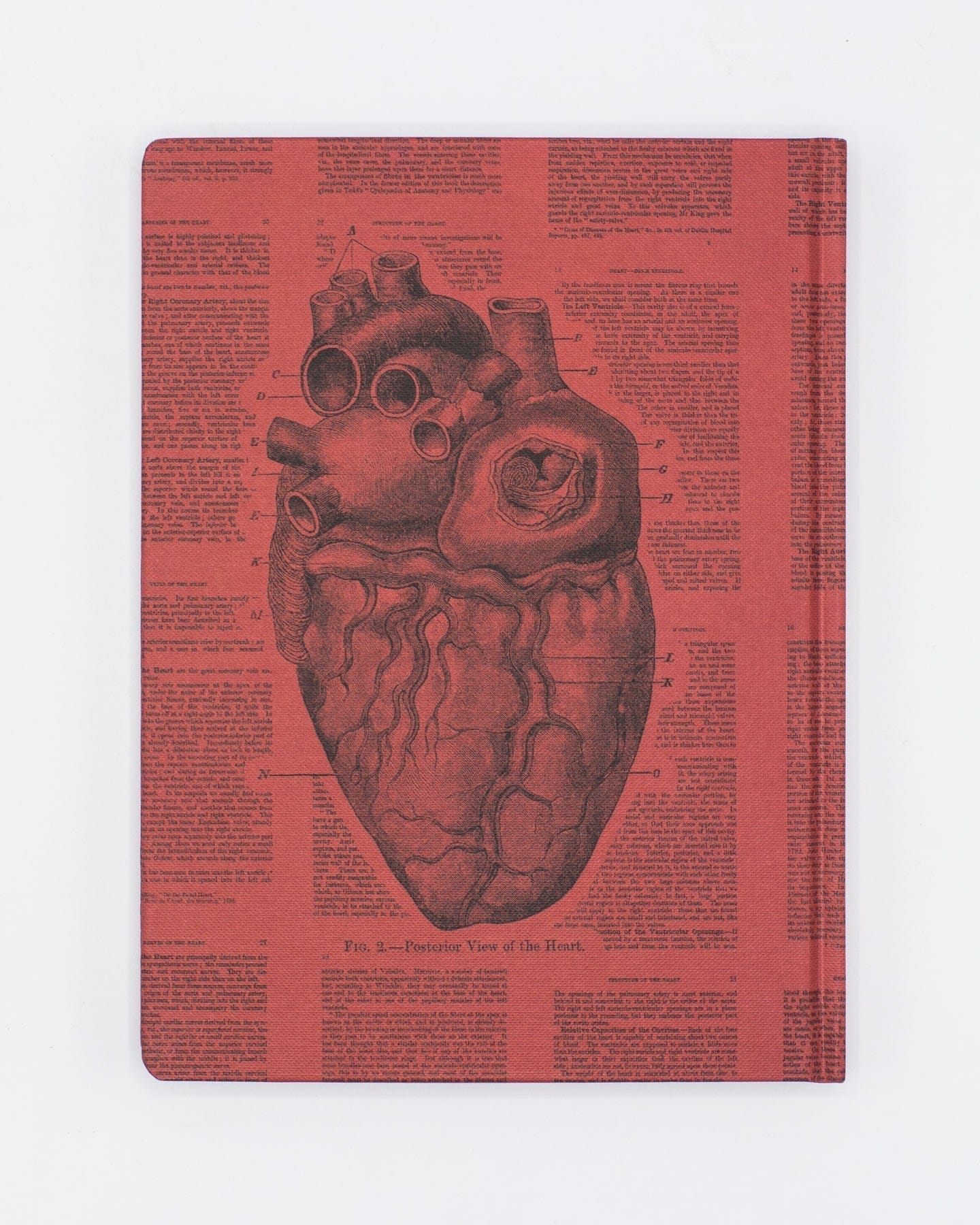 Anatomical Heart Hardcover - Dot Grid Cognitive Surplus