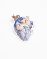 Anatomical Heart Sticker