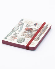 Anatomy & Physiology Observation Softcover Cognitive Surplus
