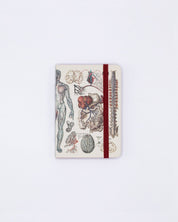 Anatomy & Physiology Observation Softcover Cognitive Surplus