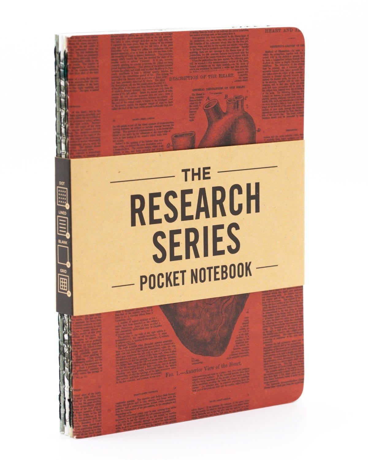 Anatomy Pocket Notebook 4-pack Cognitive Surplus