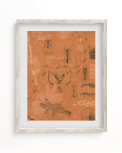Ants Museum Print Cognitive Surplus