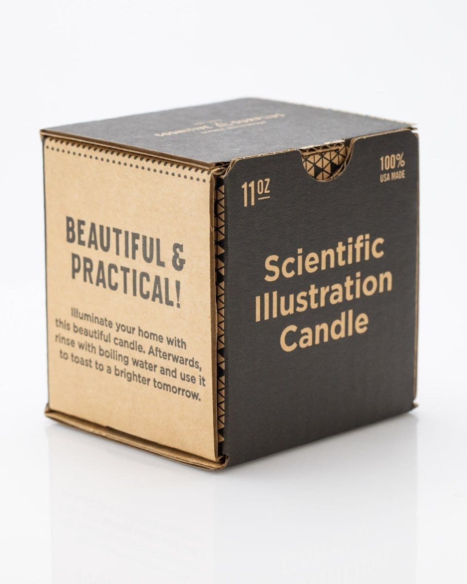 Astronomy Cocktail Candle Cognitive Surplus