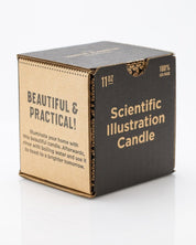 Astronomy Cocktail Candle Cognitive Surplus