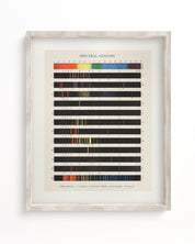 Atomic Spectra Museum Print Cognitive Surplus