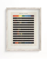 Electromagnetic Spectra Scientific Illustration Museum Print