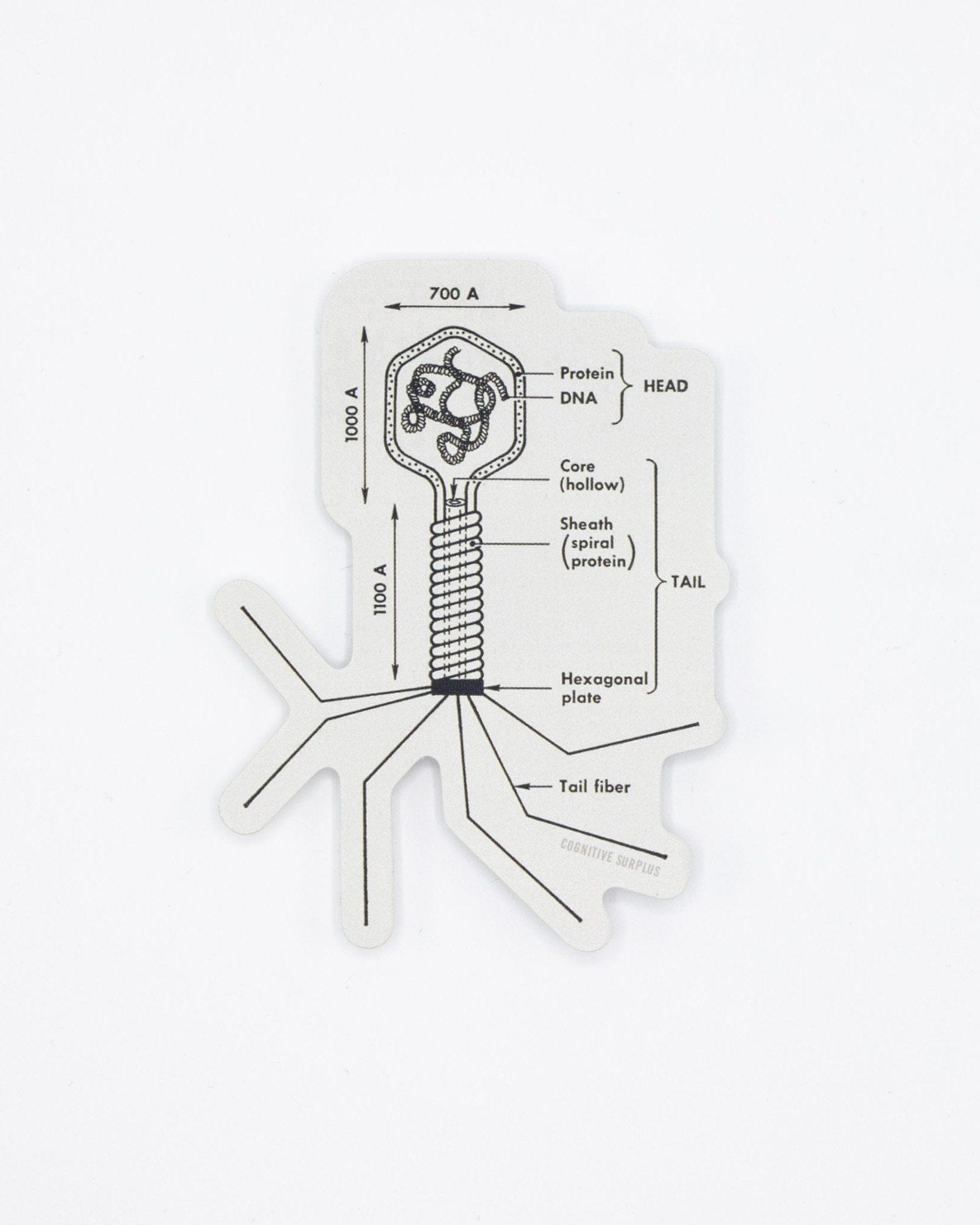 Bacteriophage Sticker Cognitive Surplus