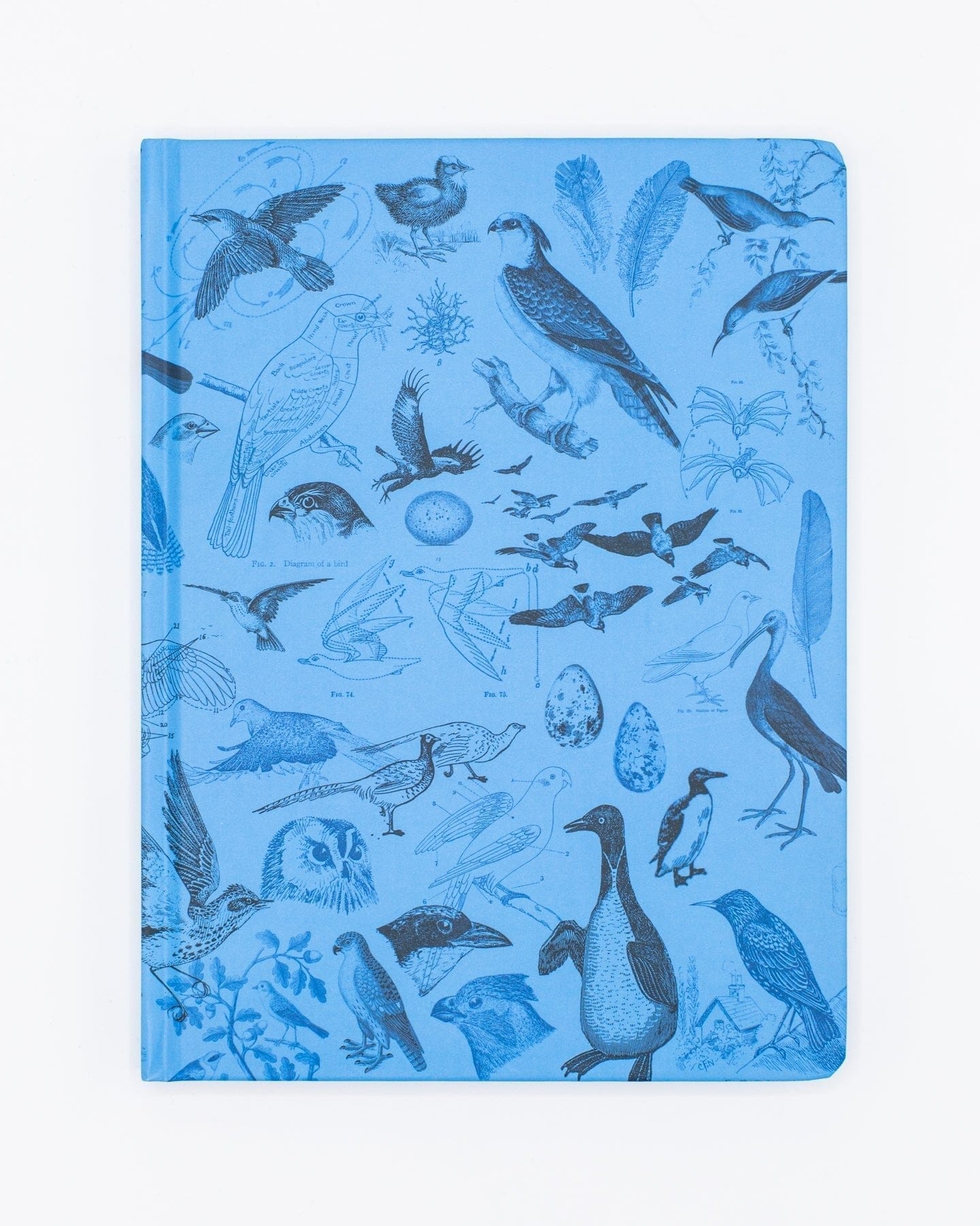 Birds Hardcover - Dot Grid Cognitive Surplus
