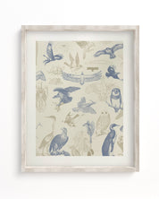 Birds of Prey Museum Print Cognitive Surplus