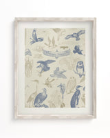 Birds of Prey Scientific Illustration Museum Print