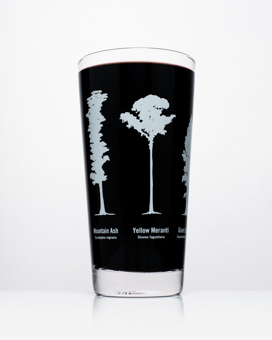 A Forest Giants Beer Glass (12 oz) with a black liquid. - Cognitive Surplus