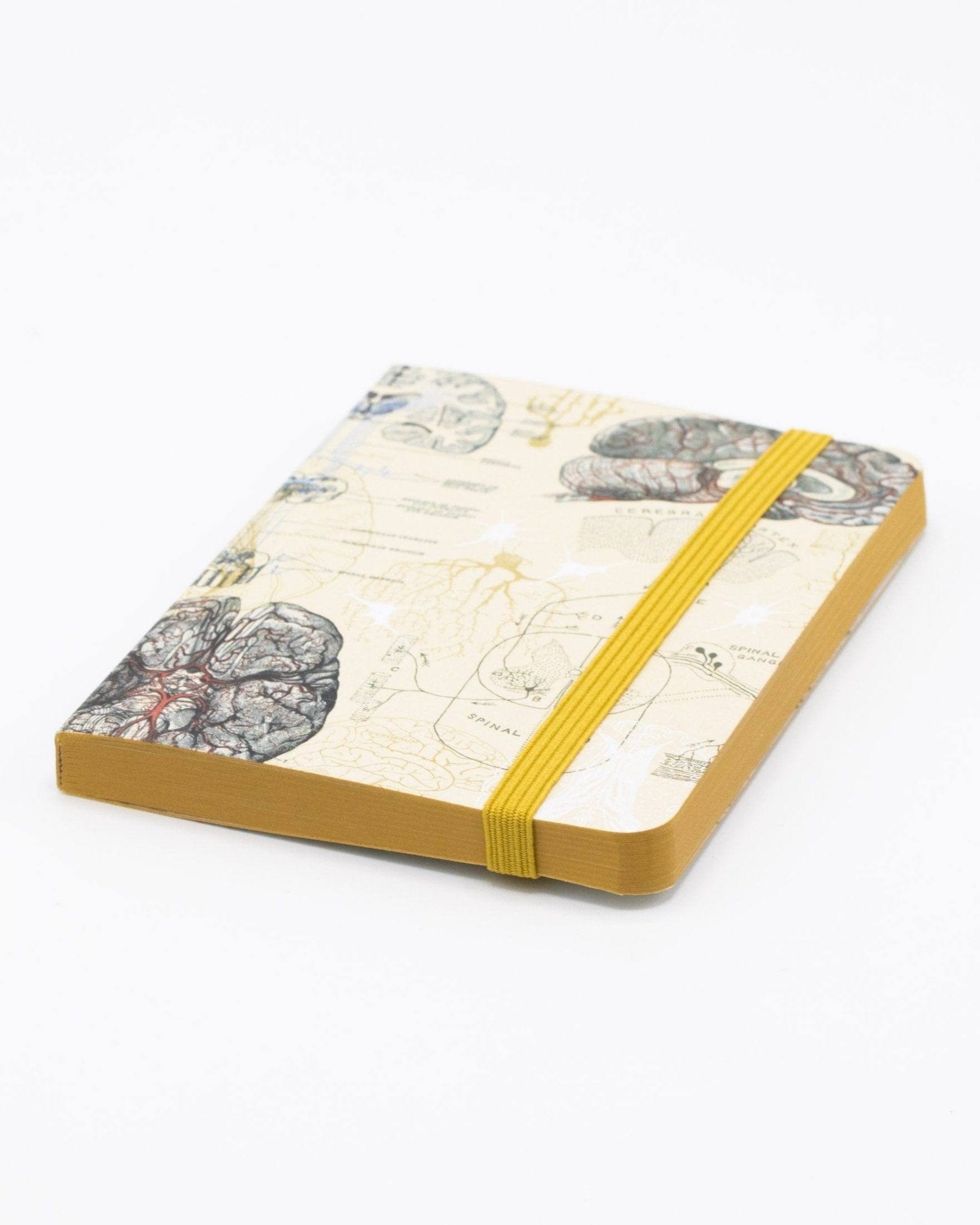 Brain Observation Softcover Cognitive Surplus