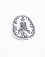Brain Scan Sticker