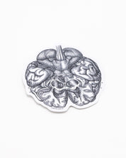 Brain Sticker Cognitive Surplus