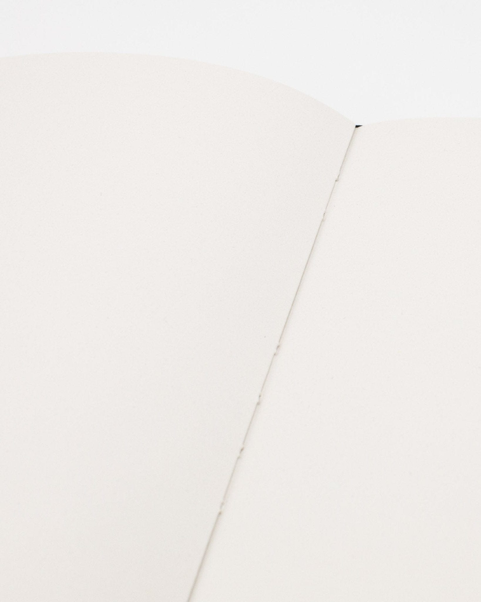 Butterflies & Beetles Hardcover - Blank Cognitive Surplus