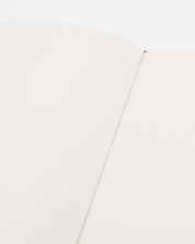 Butterflies & Beetles Hardcover - Blank Cognitive Surplus