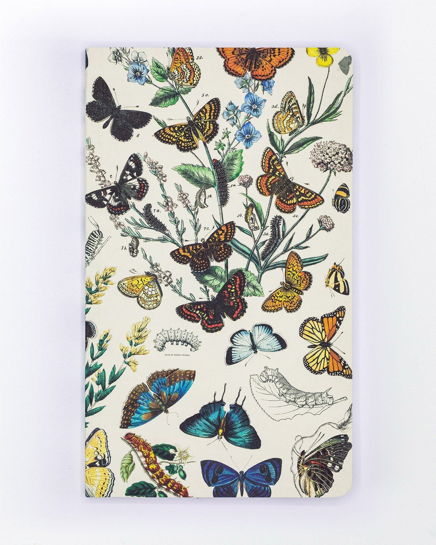 Butterfly Yearly Planner Cognitive Surplus