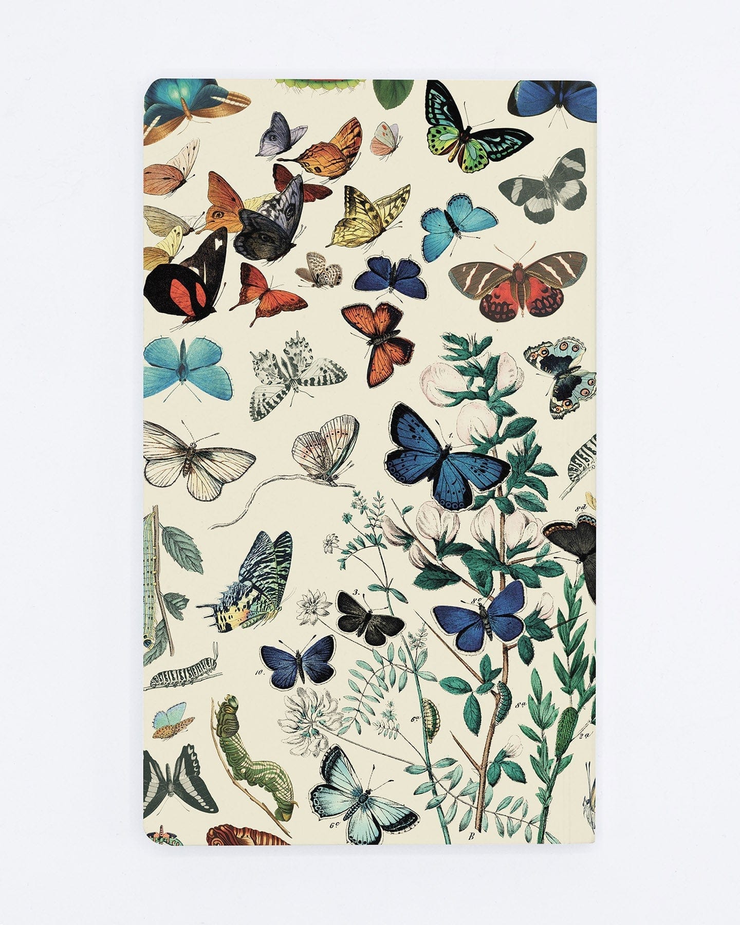 Butterfly Yearly Planner Cognitive Surplus