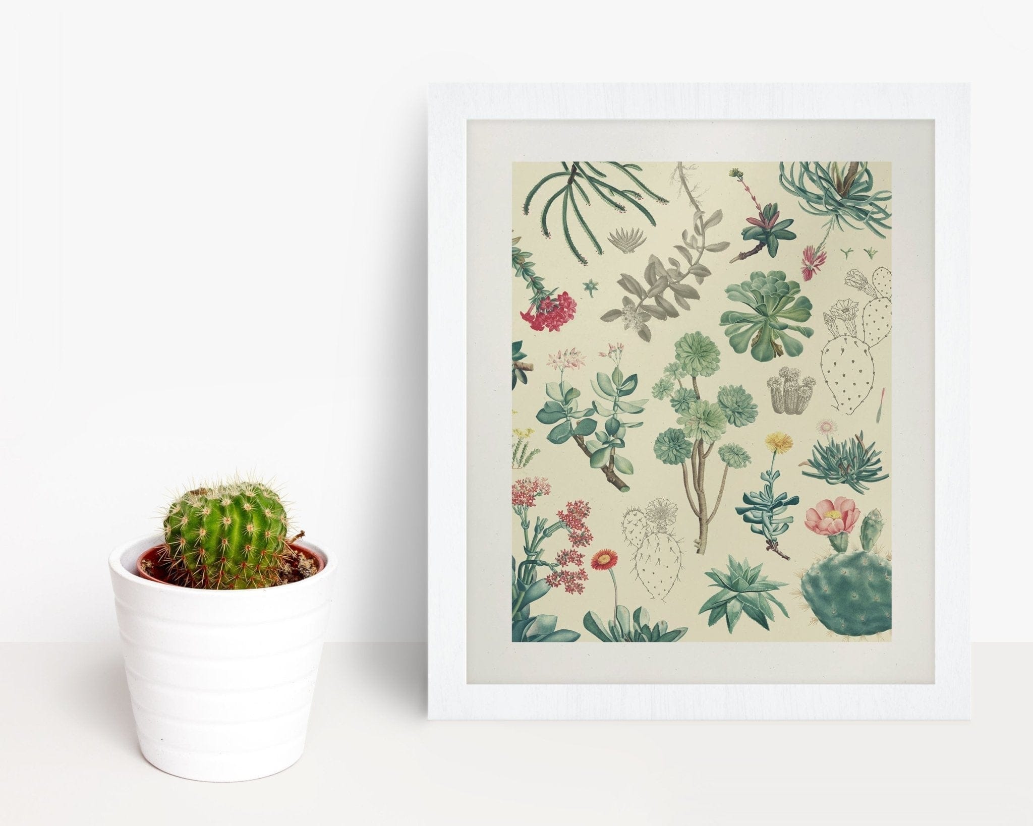 Cactus Museum Print Cognitive Surplus