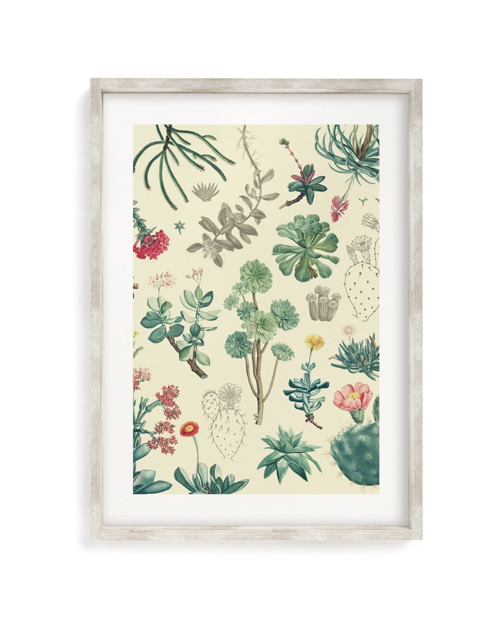 Cactus Museum Print Cognitive Surplus
