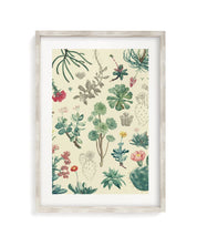 Cactus Museum Print Cognitive Surplus