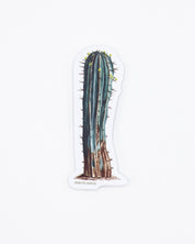 Cactus Sticker Cognitive Surplus