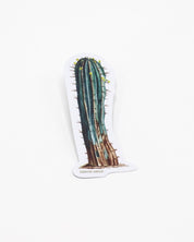 Cactus Sticker Cognitive Surplus