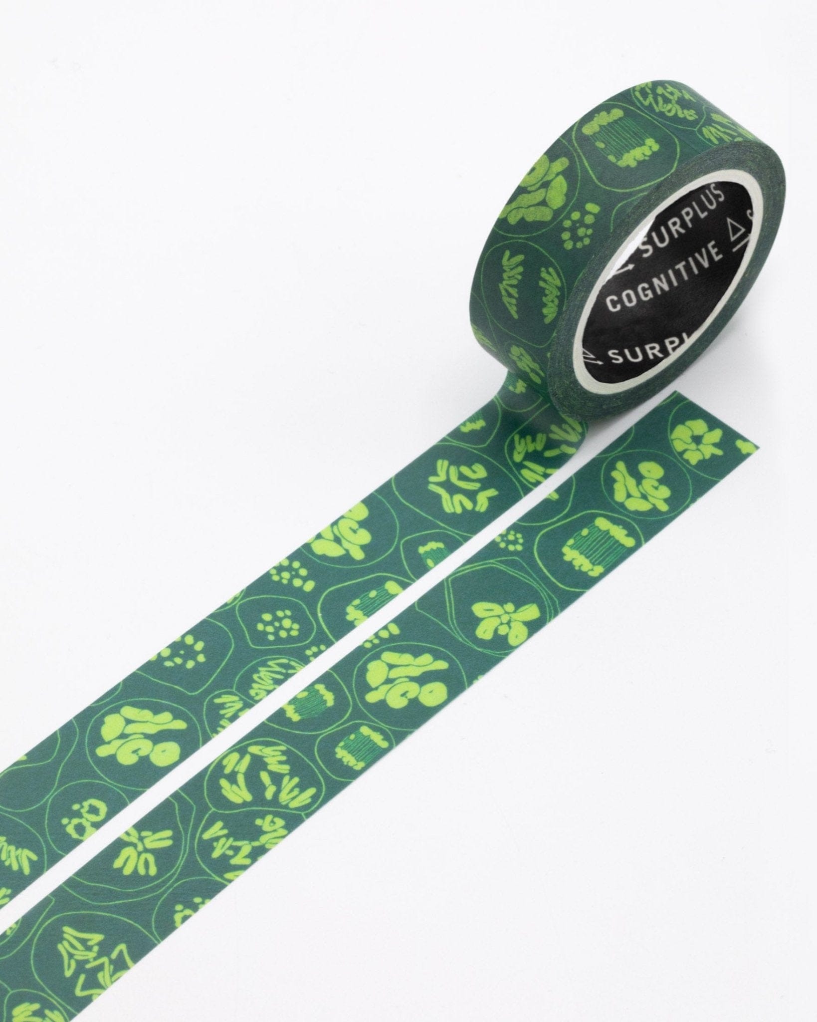 Cell Biology: Meiosis Washi Tape Cognitive Surplus