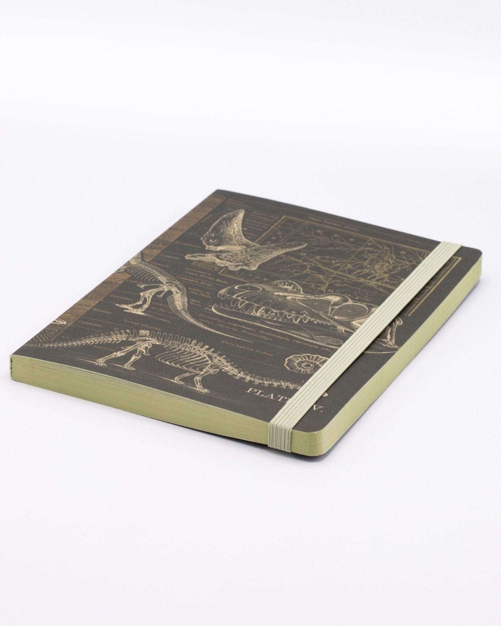 Dinosaur Bones A5 Softcover Cognitive Surplus