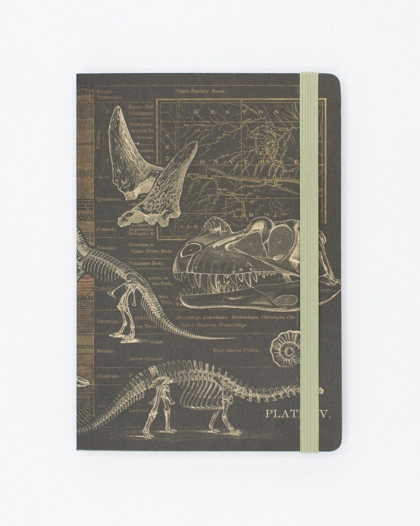 Dinosaur Bones A5 Softcover Cognitive Surplus