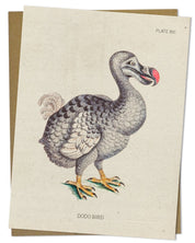 Dodo Bird Specimen Greeting Card Cognitive Surplus