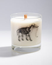 Elephant Bones Cocktail Candle Cognitive Surplus