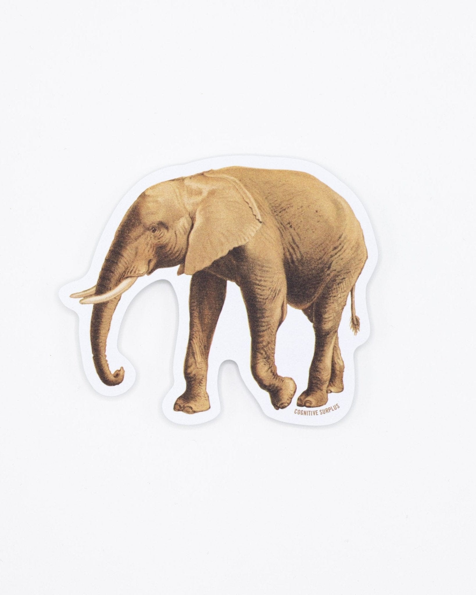 Elephant Sticker Cognitive Surplus