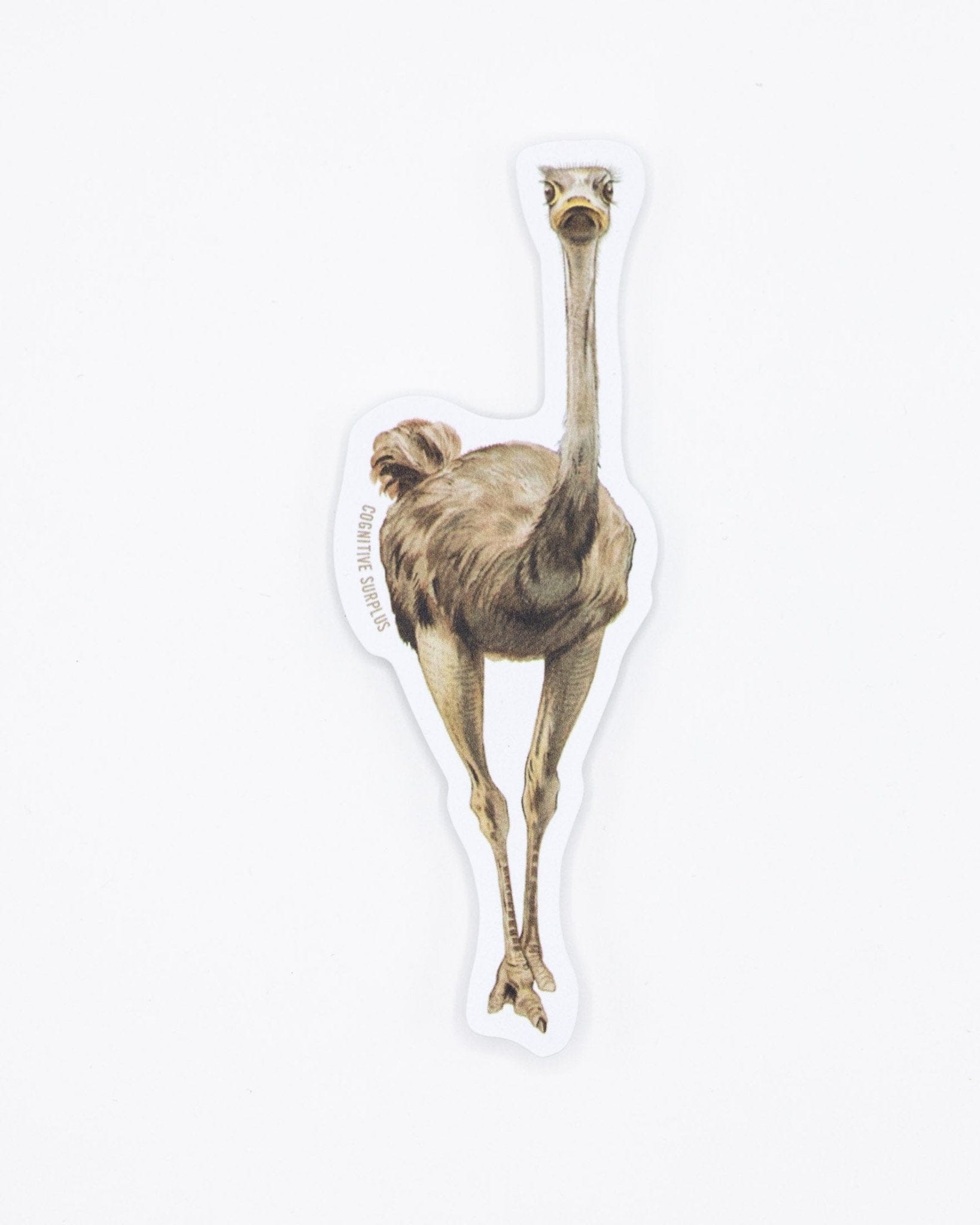 Emu Bird Sticker Cognitive Surplus