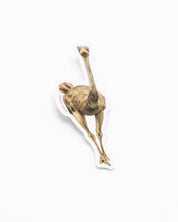 Emu Bird Sticker Cognitive Surplus