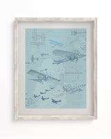 Flight Scientific Illustration Museum Print