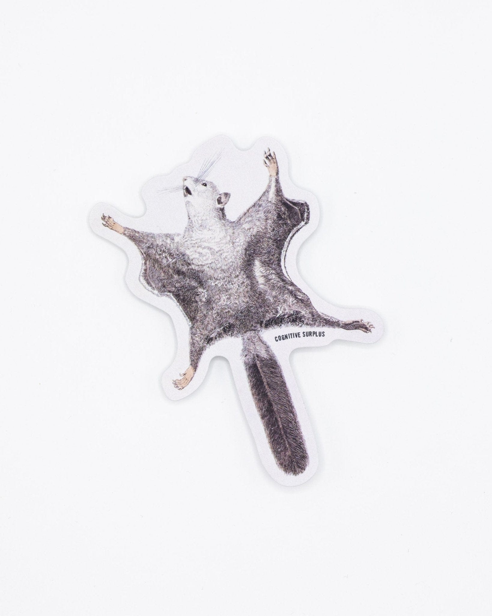 Flying Squirrel Sticker Cognitive Surplus
