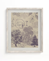 Forest Nutrients Scientific Illustration Museum Print