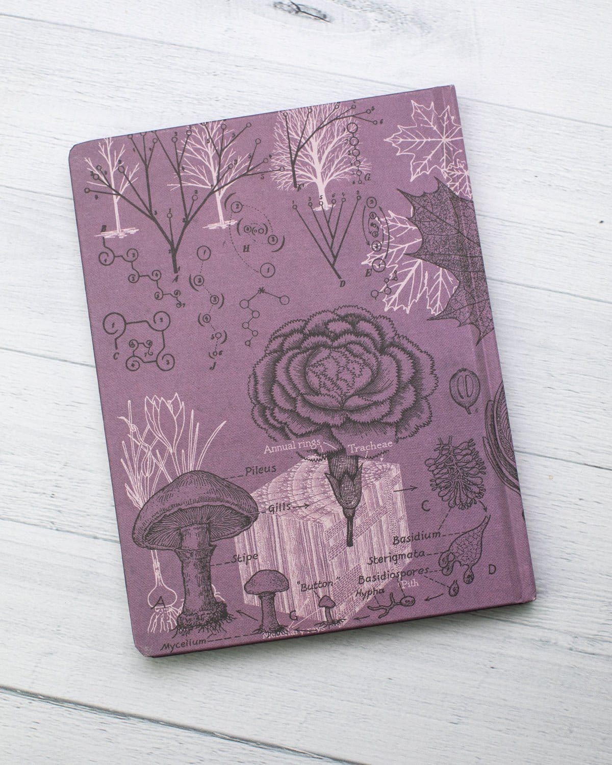 Forest at Dusk Hardcover - Lined/Grid Cognitive Surplus