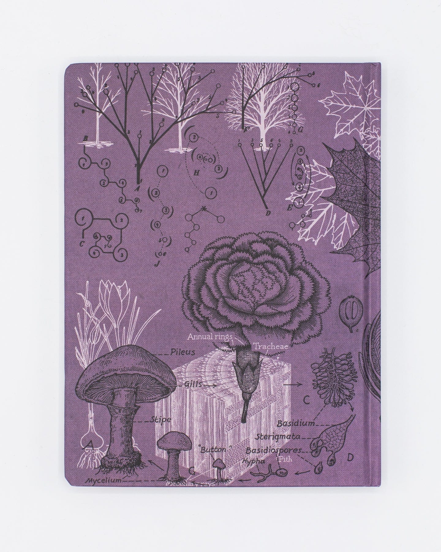 Forest at Dusk Hardcover - Lined/Grid Cognitive Surplus