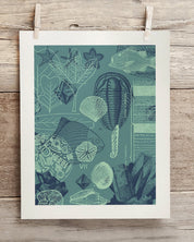Fossils Museum Print Cognitive Surplus