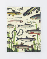 Freshwater Fish Softcover Notebook - Dot Grid