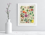Fruit & Vegetables Museum Print Cognitive Surplus