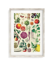 Fruit & Vegetables Museum Print Cognitive Surplus