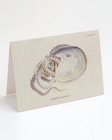 Octopus: Argonaut Greeting Card